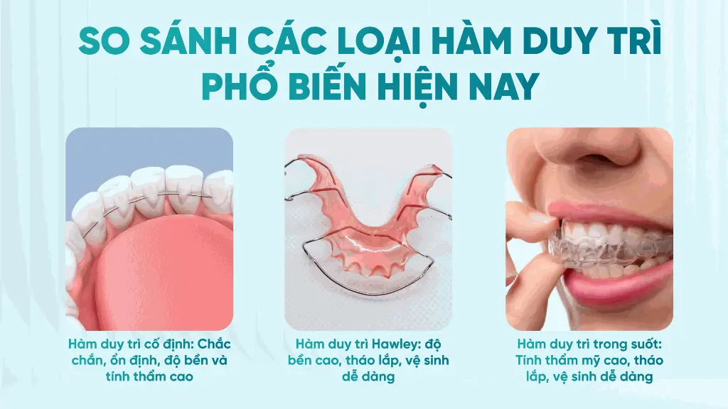 cac-loai-ham-duy-tri-4.webp