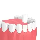 Ori Luxury Stage Style