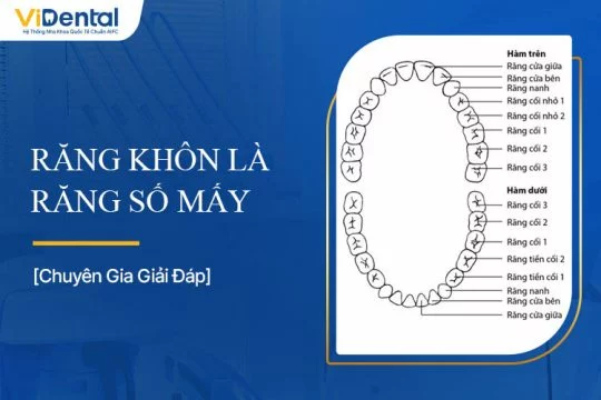 Nha khoa Ori Smile, Trung tâm nha khoa Ori Smile, Phòng khám nha khoa Ori Smile, Nha khoa thẩm mỹ quốc tế Ori Smile